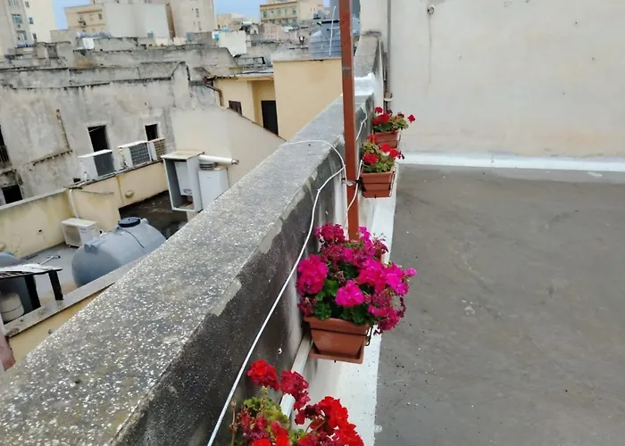 Essence Apartment